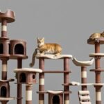 Cat Trees