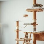 cat tree for large cats